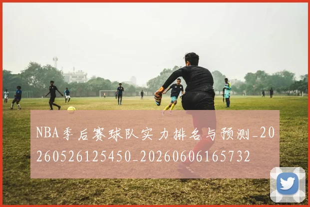 NBA季后赛球队实力排名与预测_20260526125450_20260606165732