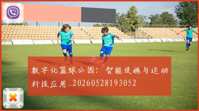 数字化篮球公园：智能设施与运动科技应用_20260528193052